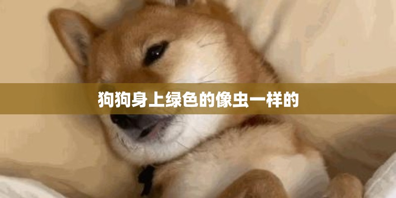 狗狗身上绿色的像虫一样的