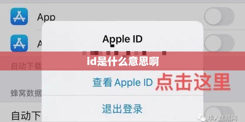 id是什么意思啊