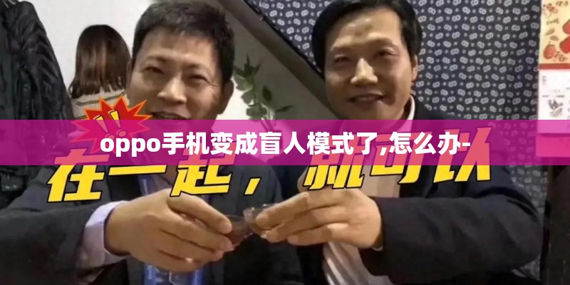 oppo手机变成盲人模式了,怎么办-