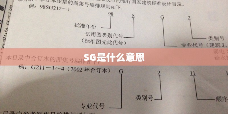 SG是什么意思