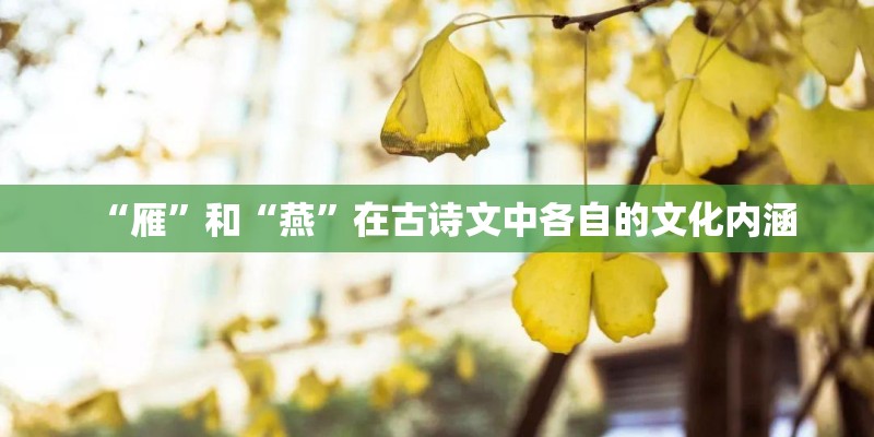 “雁”和“燕”在古诗文中各自的文化内涵 “雁”和“燕”在古诗文中各自的文化内涵