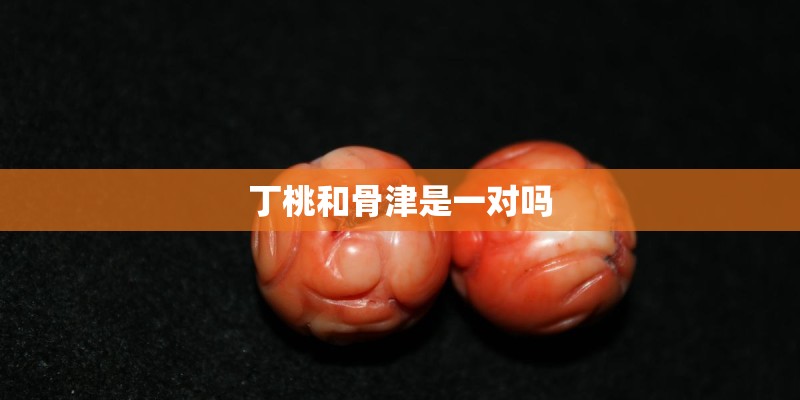 丁桃和骨津是一对吗