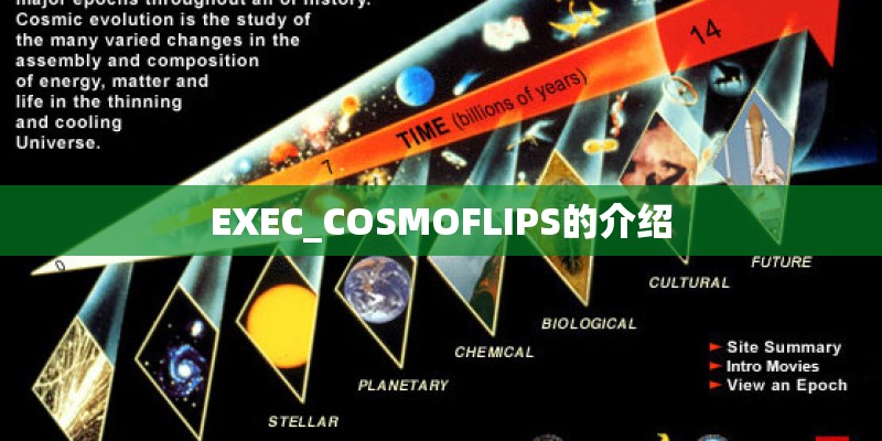 EXEC_COSMOFLIPS的介绍 EXEC_COSMOFLIPS的介绍