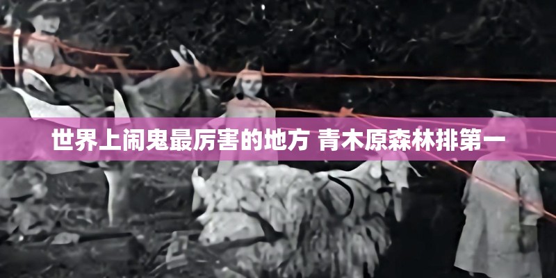 世界上闹鬼最厉害的地方 青木原森林排第一 世界上闹鬼最厉害的地方 青木原森林排第一