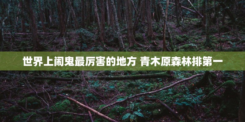 世界上闹鬼最厉害的地方 青木原森林排第一 世界上闹鬼最厉害的地方 青木原森林排第一