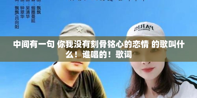中间有一句 你我没有刻骨铭心的恋情 的歌叫什么！谁唱的！歌词