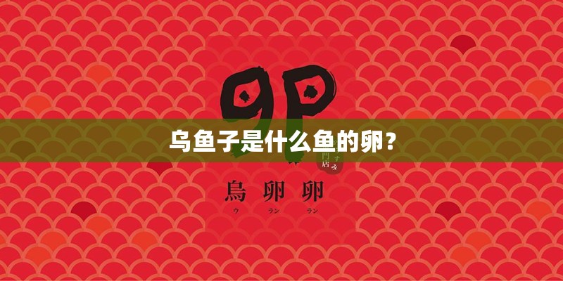 乌鱼子是什么鱼的卵？