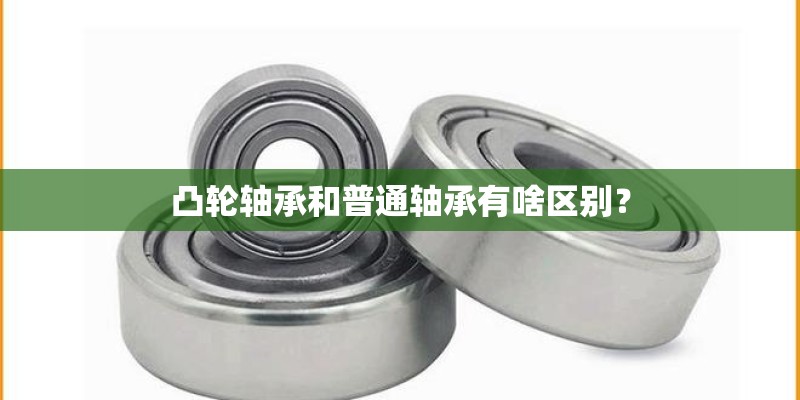 凸轮轴承和普通轴承有啥区别？