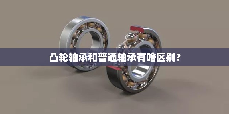 凸轮轴承和普通轴承有啥区别？