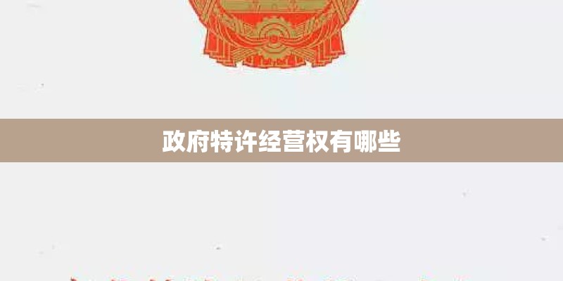 政府特许经营权有哪些