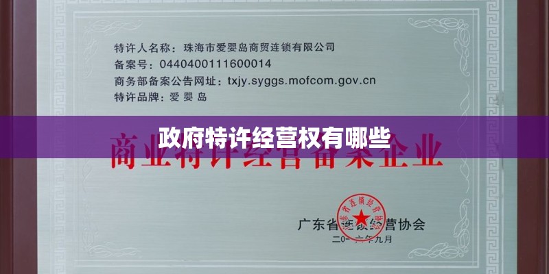 政府特许经营权有哪些