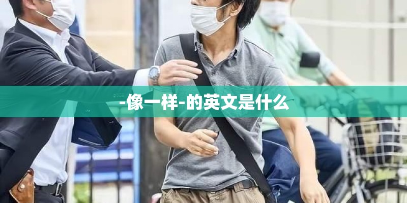 -像一样-的英文是什么 -像一样-的英文是什么