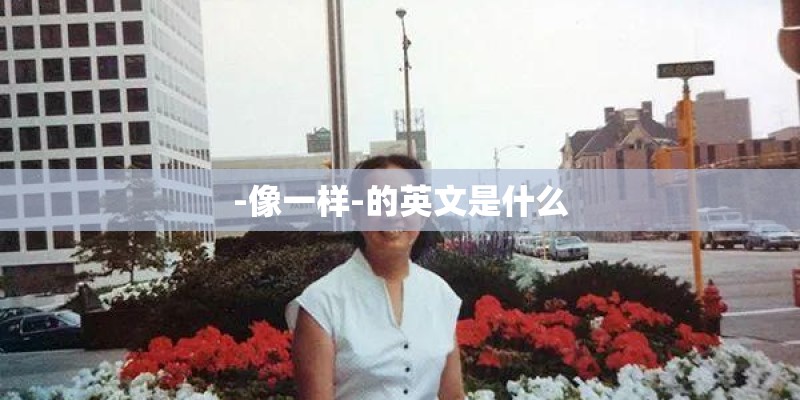 -像一样-的英文是什么 -像一样-的英文是什么