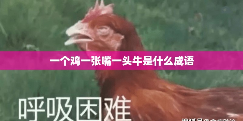 一个鸡一张嘴一头牛是什么成语