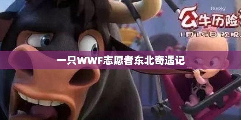 世界杯的由来？