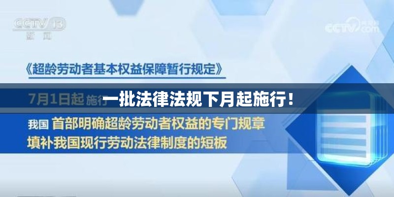 为什么手机wifi有显示 但是网连不上
