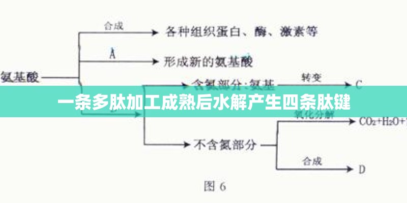 个人保证书