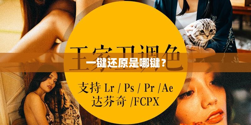 一键还原是哪键? 一键还原是哪键?