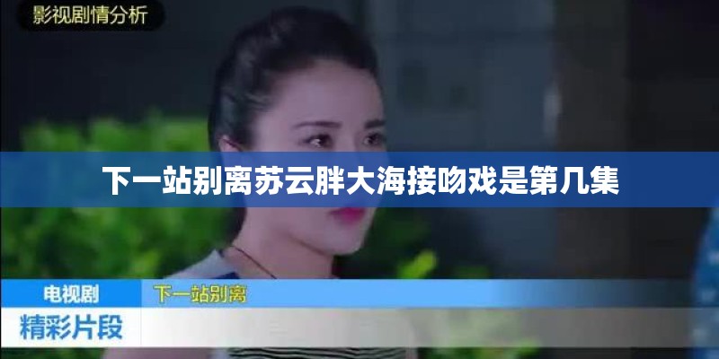 下一站别离苏云胖大海接吻戏是第几集