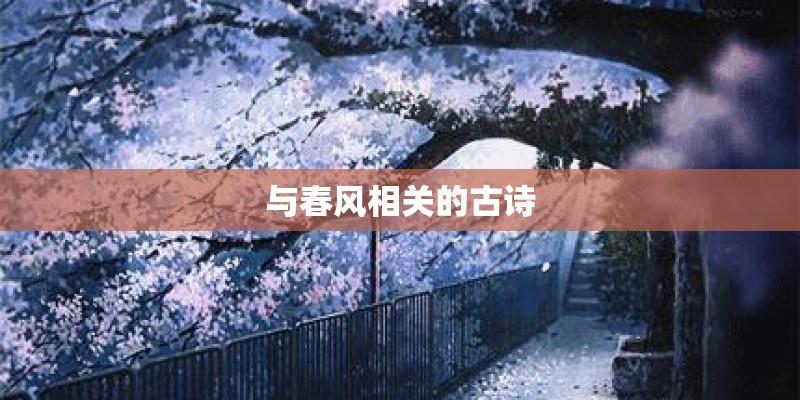 为什么手机wifi有显示 但是网连不上