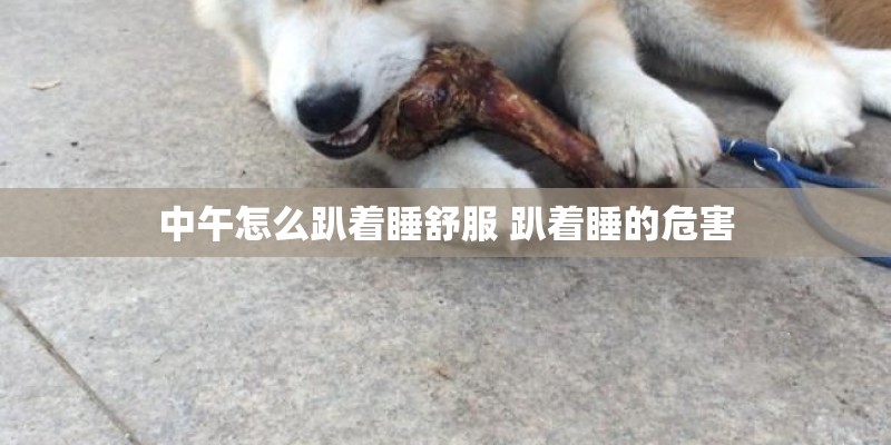 中午怎么趴着睡舒服 趴着睡的危害 中午怎么趴着睡舒服 趴着睡的危害
