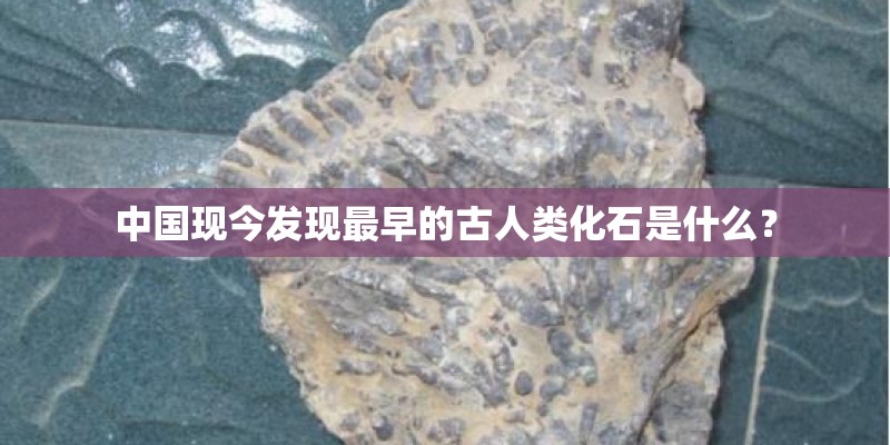 世界杯的由来？