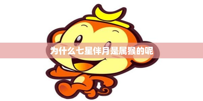 为什么手机wifi有显示 但是网连不上